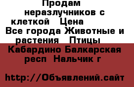 Продам 2 неразлучников с клеткой › Цена ­ 2 500 - Все города Животные и растения » Птицы   . Кабардино-Балкарская респ.,Нальчик г.